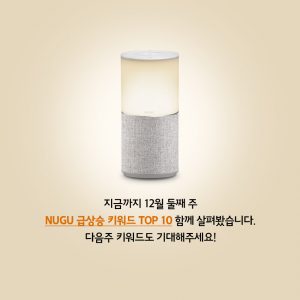 누구급상승키워드(12월2주)_15