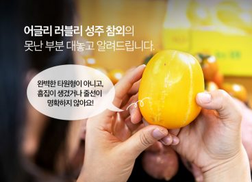 11번가, 어글리러블리, 참외