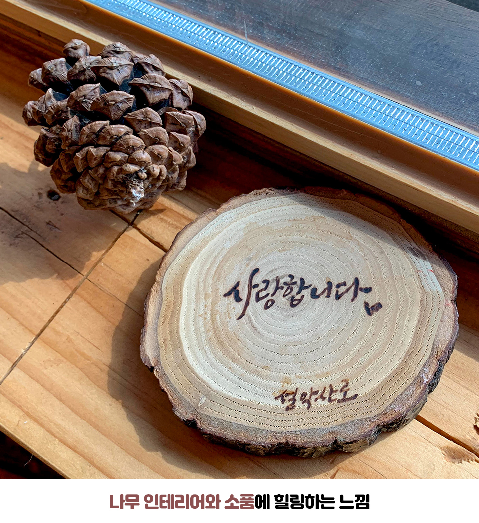 T맵미식로드, 티맵미식로드, 속초여행, 맛집추천, 속초맛집