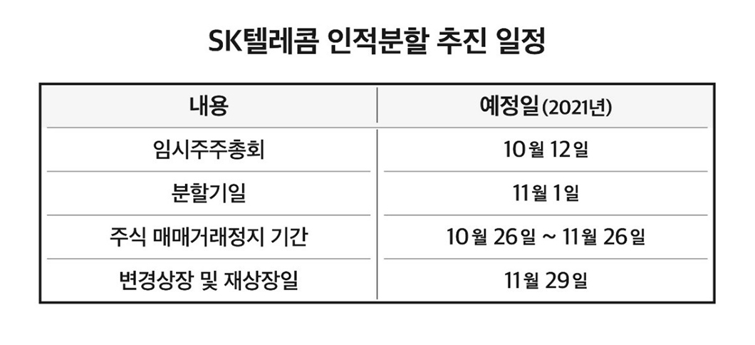 0610_SKT뉴스룸_인척분할결의_PC_02