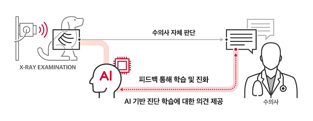 0629_SKT뉴스룸_AI동물영상 빅데이터_PC_02