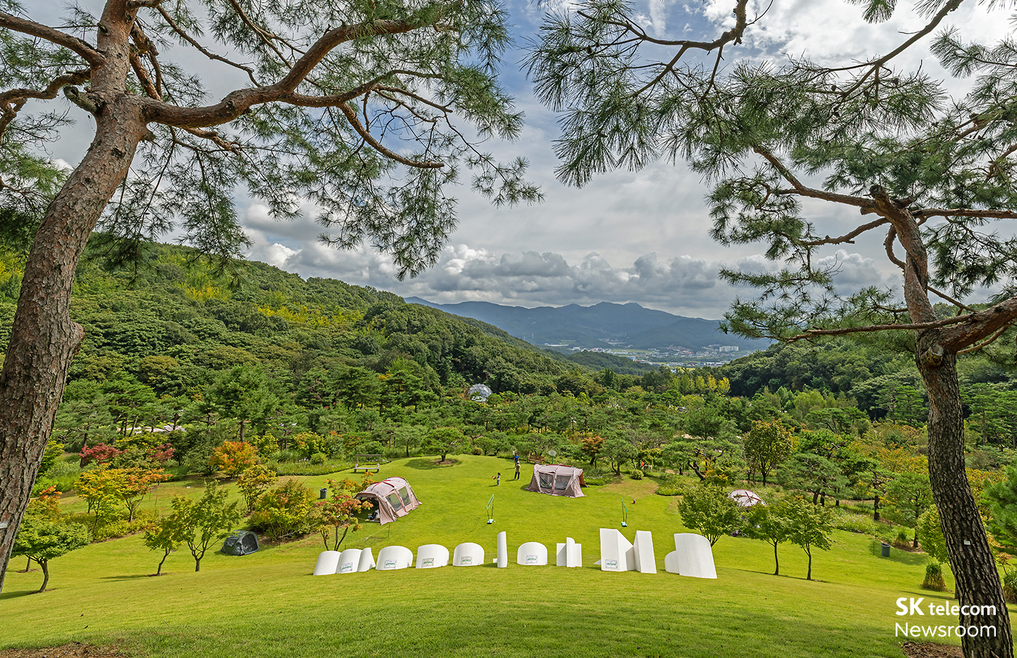 에버랜드 포레스트캠프 숲캉스 전경