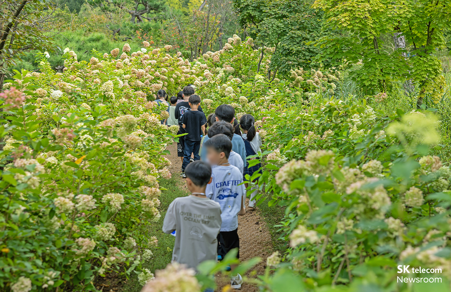 숲캉스 어린이 숲체험에서 어린이들이 숲을 관찰하고 있다